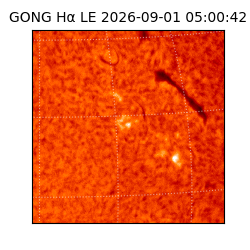 gong - 2026-09-01T05:00:42