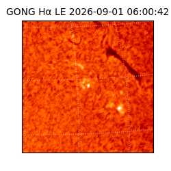gong - 2026-09-01T06:00:42