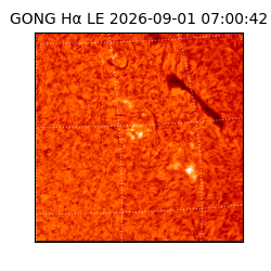gong - 2026-09-01T07:00:42