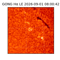 gong - 2026-09-01T08:00:42