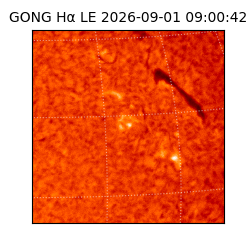 gong - 2026-09-01T09:00:42
