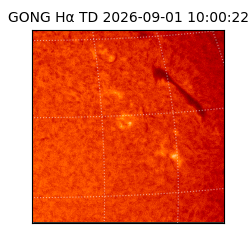 gong - 2026-09-01T10:00:22