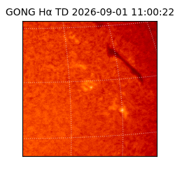 gong - 2026-09-01T11:00:22