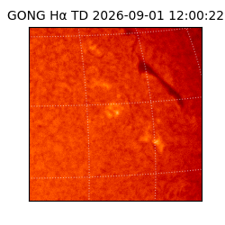 gong - 2026-09-01T12:00:22