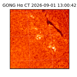 gong - 2026-09-01T13:00:42