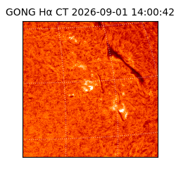 gong - 2026-09-01T14:00:42