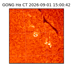 gong - 2026-09-01T15:00:42