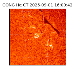 gong - 2026-09-01T16:00:42