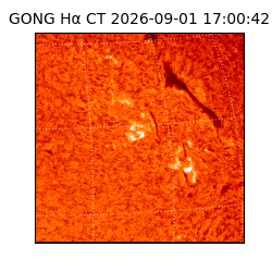 gong - 2026-09-01T17:00:42