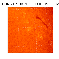 gong - 2026-09-01T19:00:02