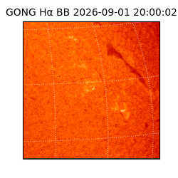 gong - 2026-09-01T20:00:02