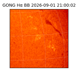 gong - 2026-09-01T21:00:02