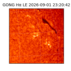 gong - 2026-09-01T23:20:42