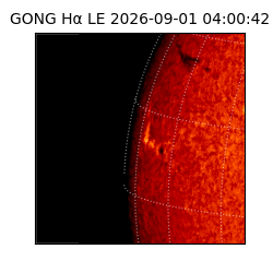 gong - 2026-09-01T04:00:42