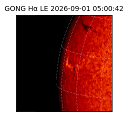 gong - 2026-09-01T05:00:42