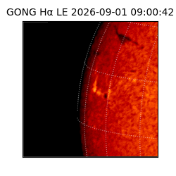 gong - 2026-09-01T09:00:42