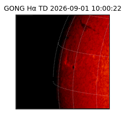 gong - 2026-09-01T10:00:22