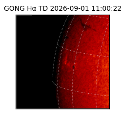 gong - 2026-09-01T11:00:22