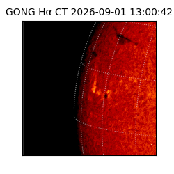 gong - 2026-09-01T13:00:42