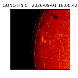 gong - 2026-09-01T18:00:42