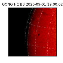 gong - 2026-09-01T19:00:02