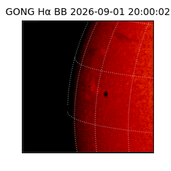 gong - 2026-09-01T20:00:02