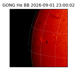 gong - 2026-09-01T23:00:02