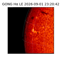 gong - 2026-09-01T23:20:42