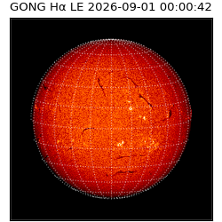 gong - 2026-09-01T00:00:42