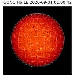 gong - 2026-09-01T01:00:42