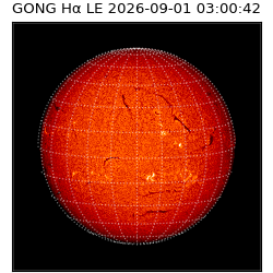 gong - 2026-09-01T03:00:42
