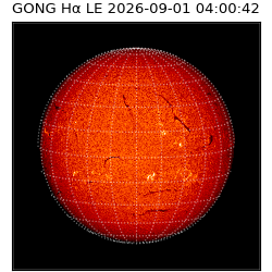 gong - 2026-09-01T04:00:42