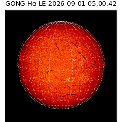 gong - 2026-09-01T05:00:42