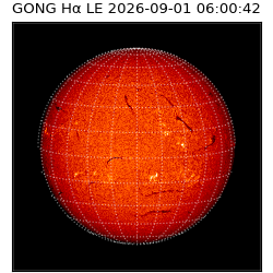 gong - 2026-09-01T06:00:42