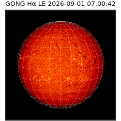 gong - 2026-09-01T07:00:42