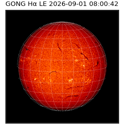 gong - 2026-09-01T08:00:42