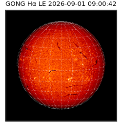 gong - 2026-09-01T09:00:42