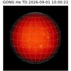 gong - 2026-09-01T10:00:22