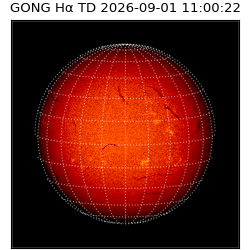 gong - 2026-09-01T11:00:22