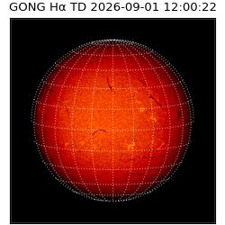 gong - 2026-09-01T12:00:22