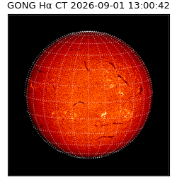 gong - 2026-09-01T13:00:42