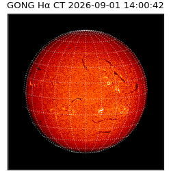 gong - 2026-09-01T14:00:42