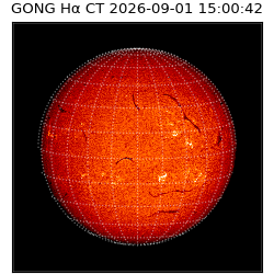 gong - 2026-09-01T15:00:42