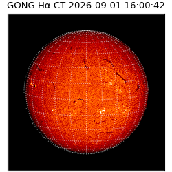 gong - 2026-09-01T16:00:42