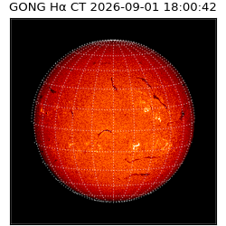 gong - 2026-09-01T18:00:42