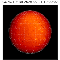 gong - 2026-09-01T19:00:02