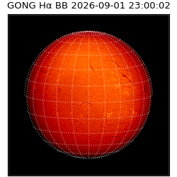 gong - 2026-09-01T23:00:02