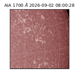 saia - 2026-09-02T08:00:28.730000