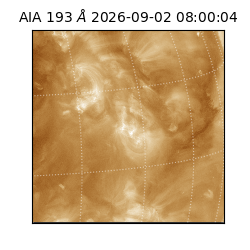 saia - 2026-09-02T08:00:04.840000