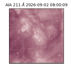 saia - 2026-09-02T08:00:09.620000